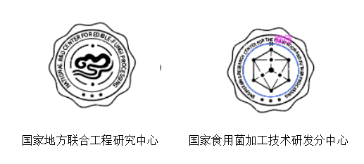 仙芝樓創意電商頁面策劃全案