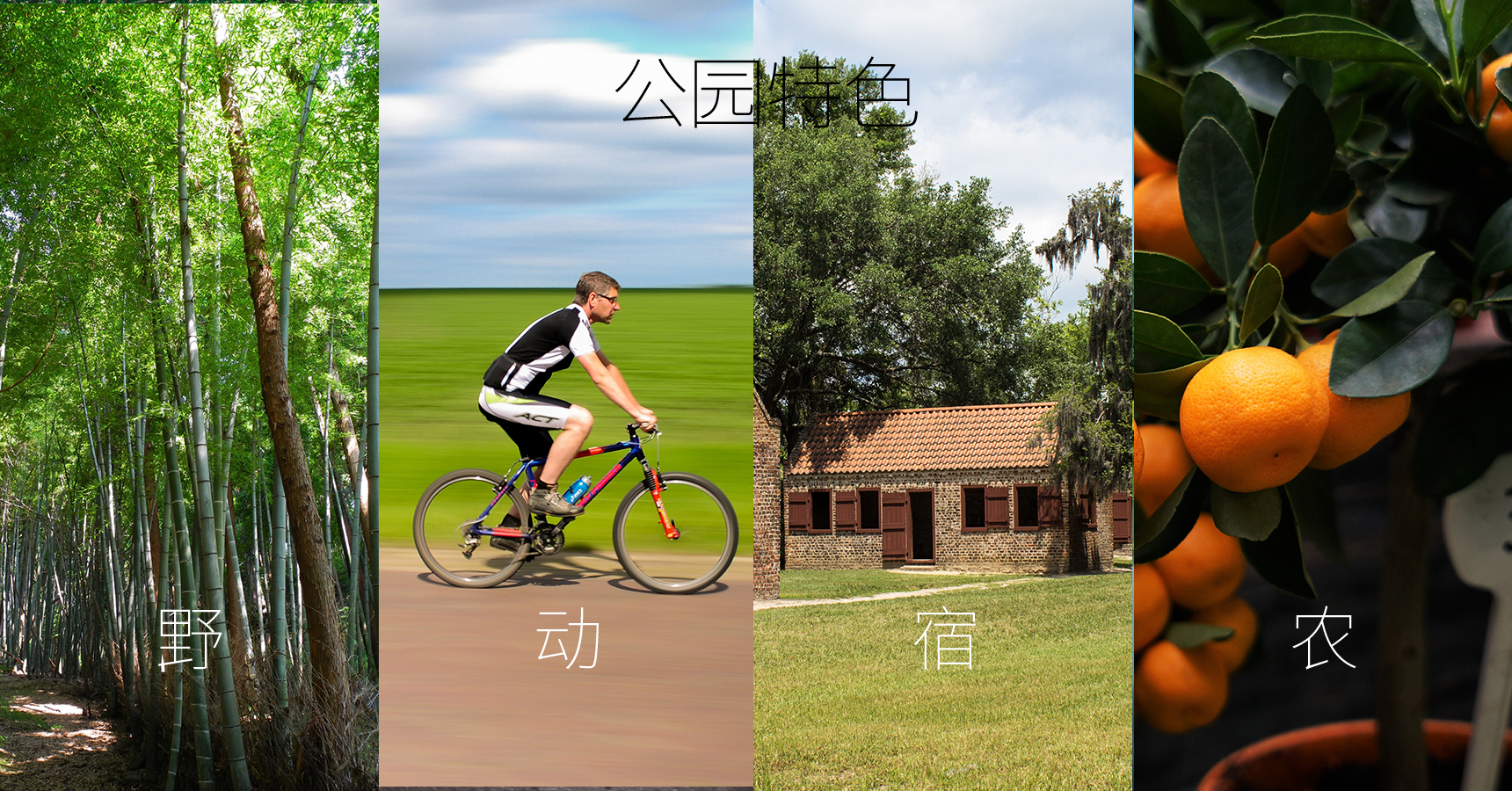 長興島郊野公園_畫板 1 副本 23.jpg